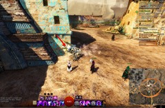 gw2-poster-child-collection-guide-15