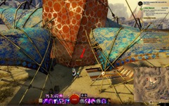 gw2-poster-child-collection-guide-17