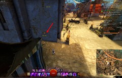 gw2-poster-child-collection-guide-18