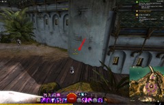 gw2-poster-child-collection-guide-23