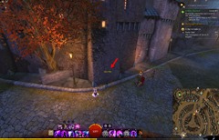 gw2-poster-child-collection-guide-25