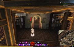 gw2-poster-child-collection-guide-27