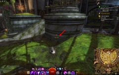 gw2-poster-child-collection-guide-29