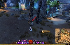 gw2-poster-child-collection-guide-3