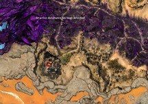 gw2-poster-child-collection-guide-4