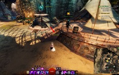 gw2-poster-child-collection-guide-5