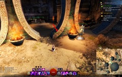 gw2-poster-child-collection-guide-9