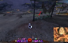 gw2-readathon-collection-guide-11