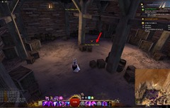 gw2-readathon-collection-guide-22