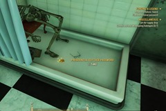 fallout76-quests-guide-99