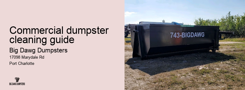 Commercial Dumpster Cleaning Guide