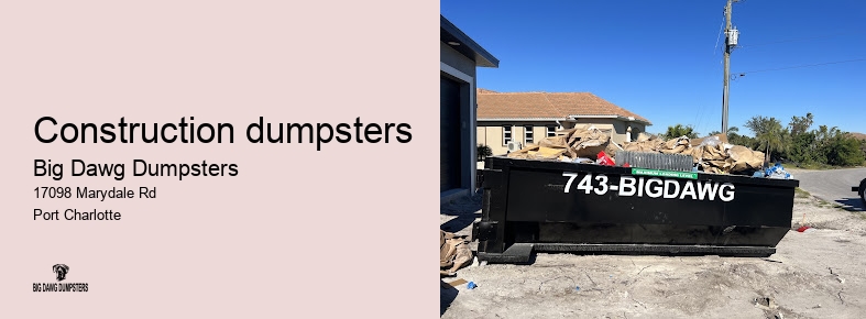 big dumpster rental cost