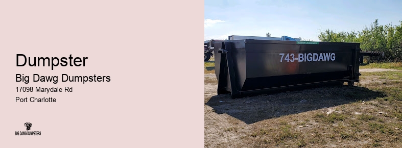 big dumpster rental