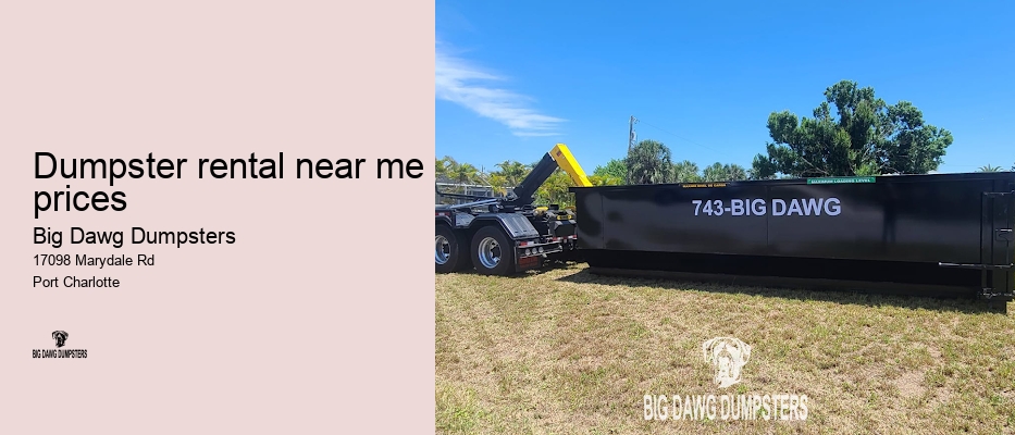 big dumpster rental