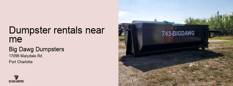 dumpster services bigdawgfl.com