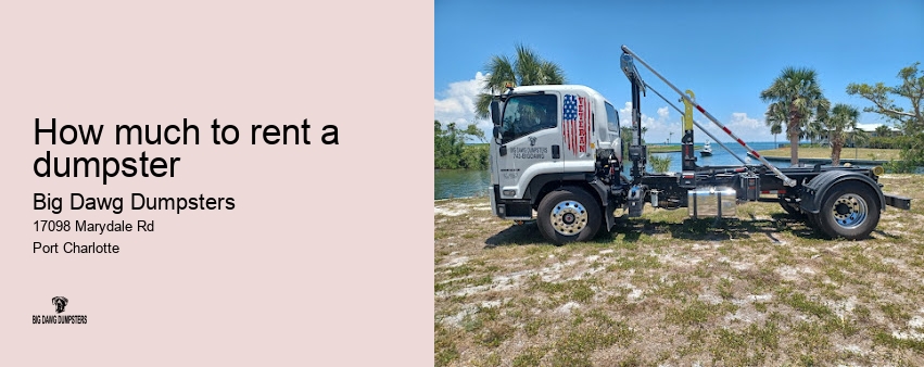big dumpster rental cost