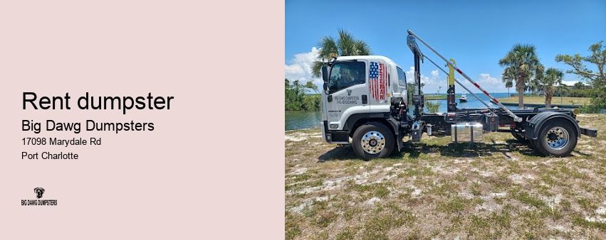 big dawgs hauling junk