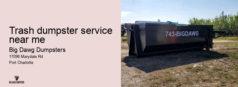 Dumpster service - Bigdawgfl.com