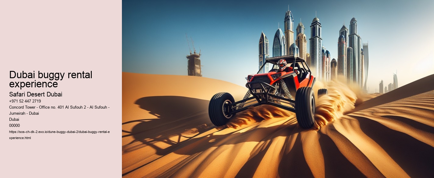 Dubai buggy rental experience