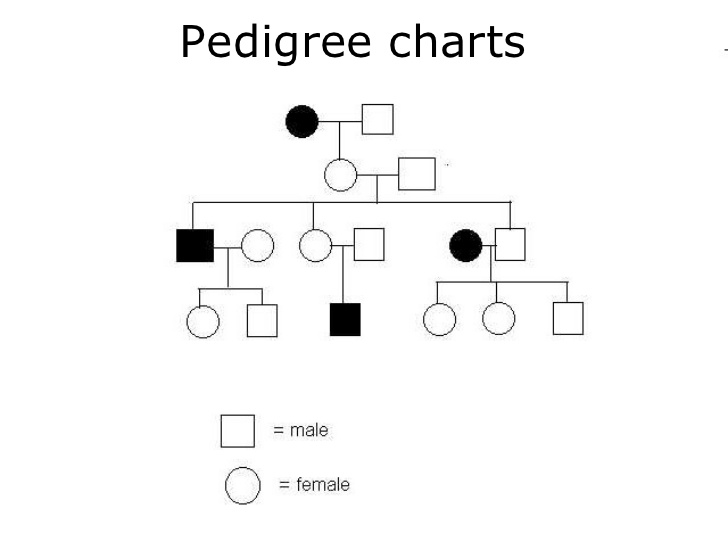 Worksheets Autosomal Pedigree Worksheet collection of autosomal pedigree worksheet sharebrowse sharebrowse