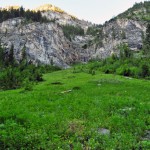 Digging grizzlies