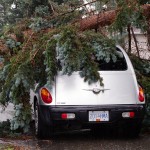 Explosive storm batters Cranbrook