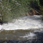 Mark Creek rehab project tender awarded