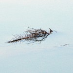 Dry Gulch water proposal falls before second petition