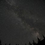 On the trail of the Perseids