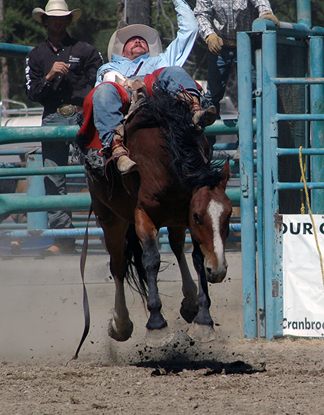 Cranbrook Rodeo Cranbrook Pro Rodeo returns this weekend