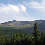 British Columbians demand a reinvestment in our forest lands