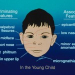 New online tools boost FASD awareness in B.C.