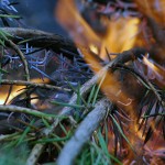 Open fires restricted within Southeast Fire Centre