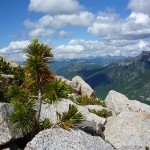 Maximum increased for CBT’s Environmental Initiatives Program grants