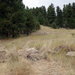 Inclusion of the Stewardship Zone into the Cranbrook Community Forest
