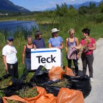 Community groups weed out invasive plants