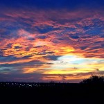 Horoscope for the week beginning March 3
