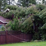 Prepare for any emergency; plan ahead