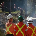 Liberals fail to complete fuel management work