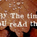 A book for anyone who has lost love