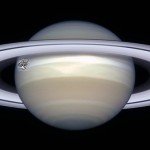 Horoscope for the Week beginning February 1