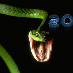 Horoscope for the Week beginning Feb. 22