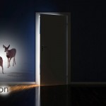 The deer debate must become public