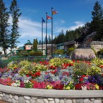 Visitor numbers on the upswing