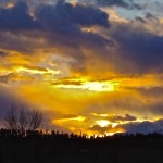 Obituary of Richard William Whitehead