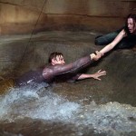 The Host suffers overused narrative