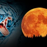 Horoscope for the Week beginning April 19