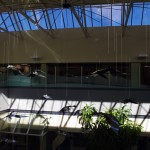 COTR continues commitment to sustainability
