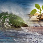 Momentum investing can be viable long-term strategy
