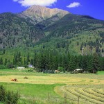 First cold-climate food forest to offer farming solutions